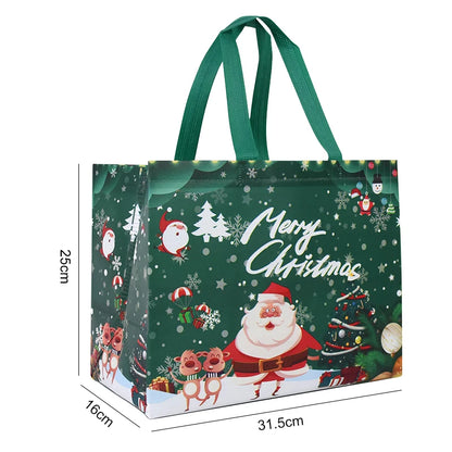 2024 Christmas Gift Bag